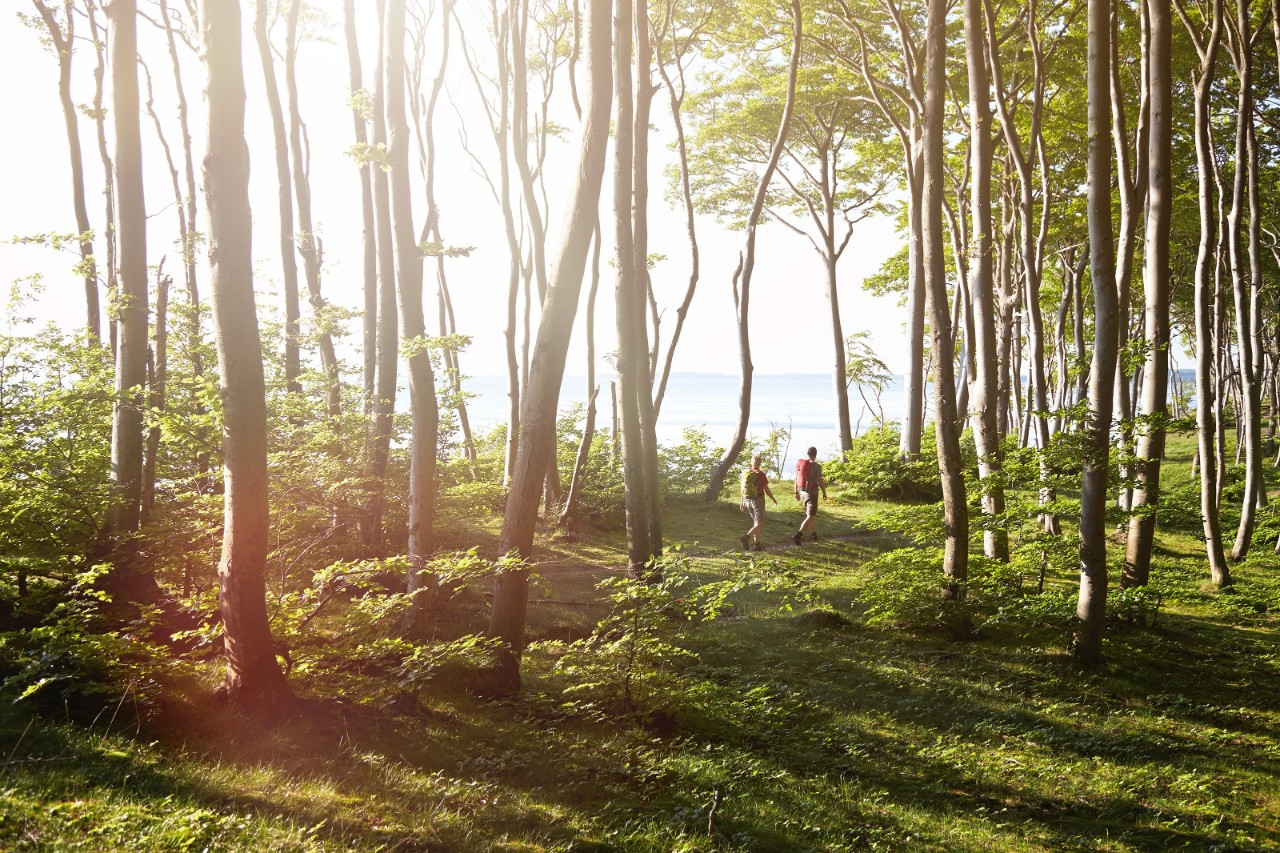 Parc national de Jasmund