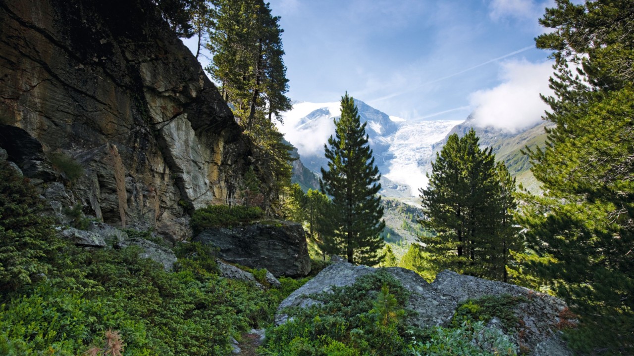 Im Vordergrund verschmelzen graue Felsen mit dem grünen Pflanzenteppich des Waldes. Von links zieht sich ein Felsvorhang ins Bild, der in der Mitte jäh abbricht und die Sicht auf ferne Weiden freigibt, die sich bis zu den eingeschneiten Gipfeln der Alpen im Hintergrund ziehen. Die Laub- und Nadelbäume in der Mitte des Bildes verleihen der Landschaft noch mehr Kontrast und Lebendigkeit.