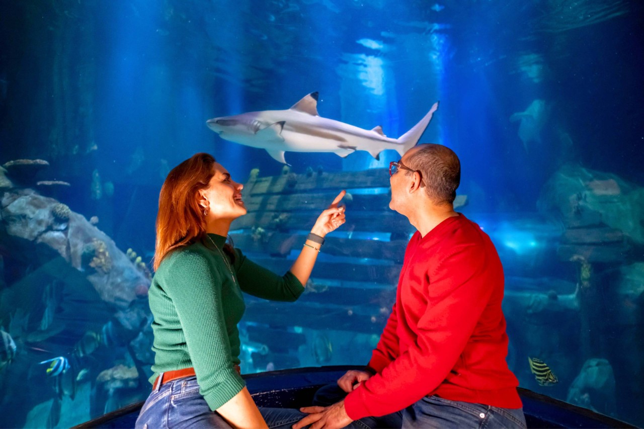 Bild vom Sea Life.