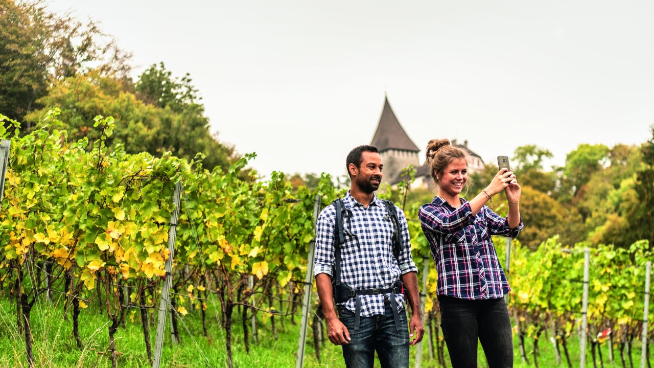 Bild vom Weinweg.
