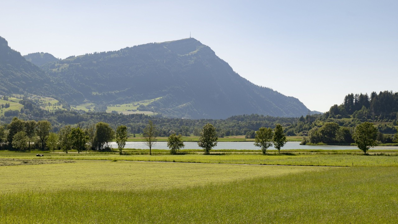 Die Rigi mit einem Teil des Lauerzersees im Vordergrund, umsäumt von Wiesen und Bäumen.