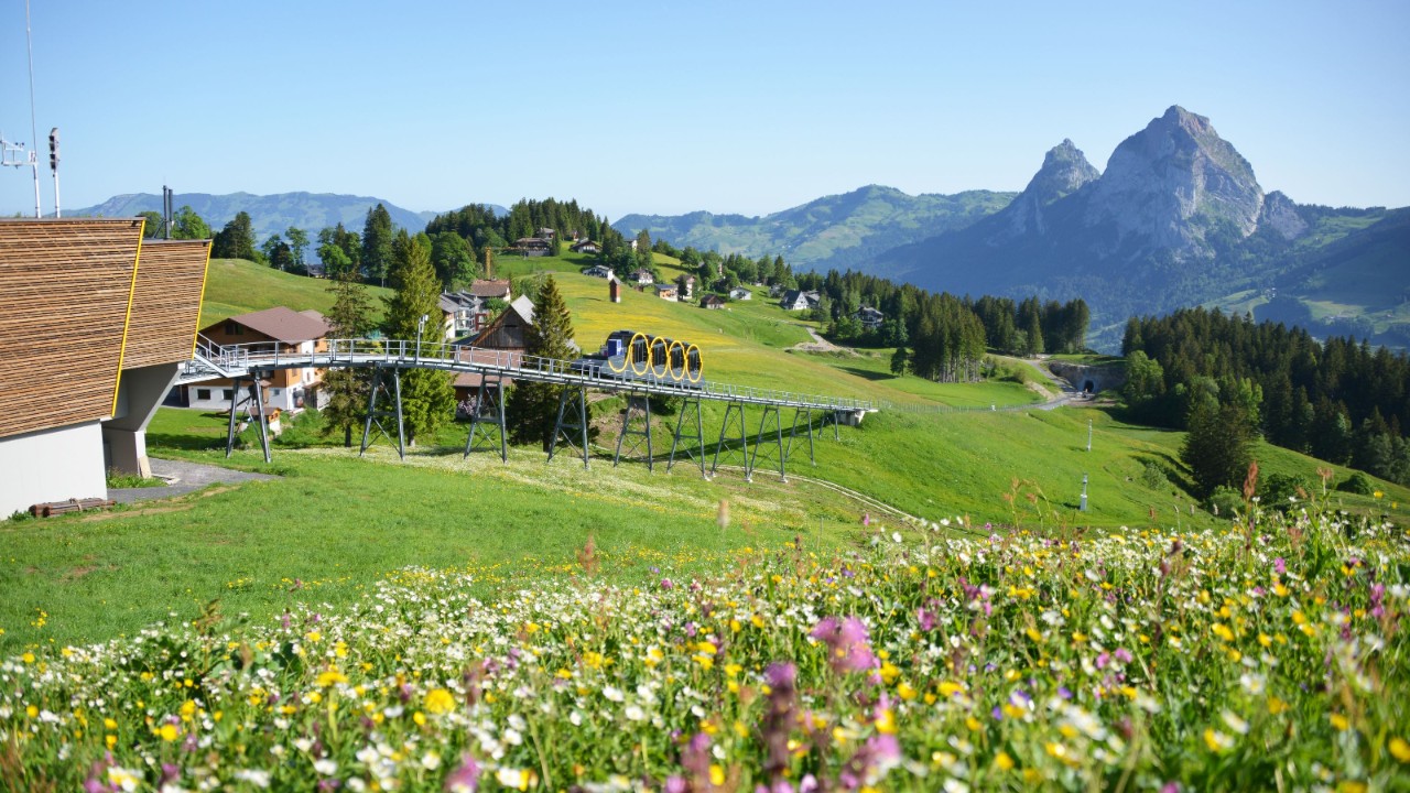 Im Vordergrund befindet sich eine blühende Wiese und im Hintergrund fährt die Stoosbahn in de Bergstation ein. 
