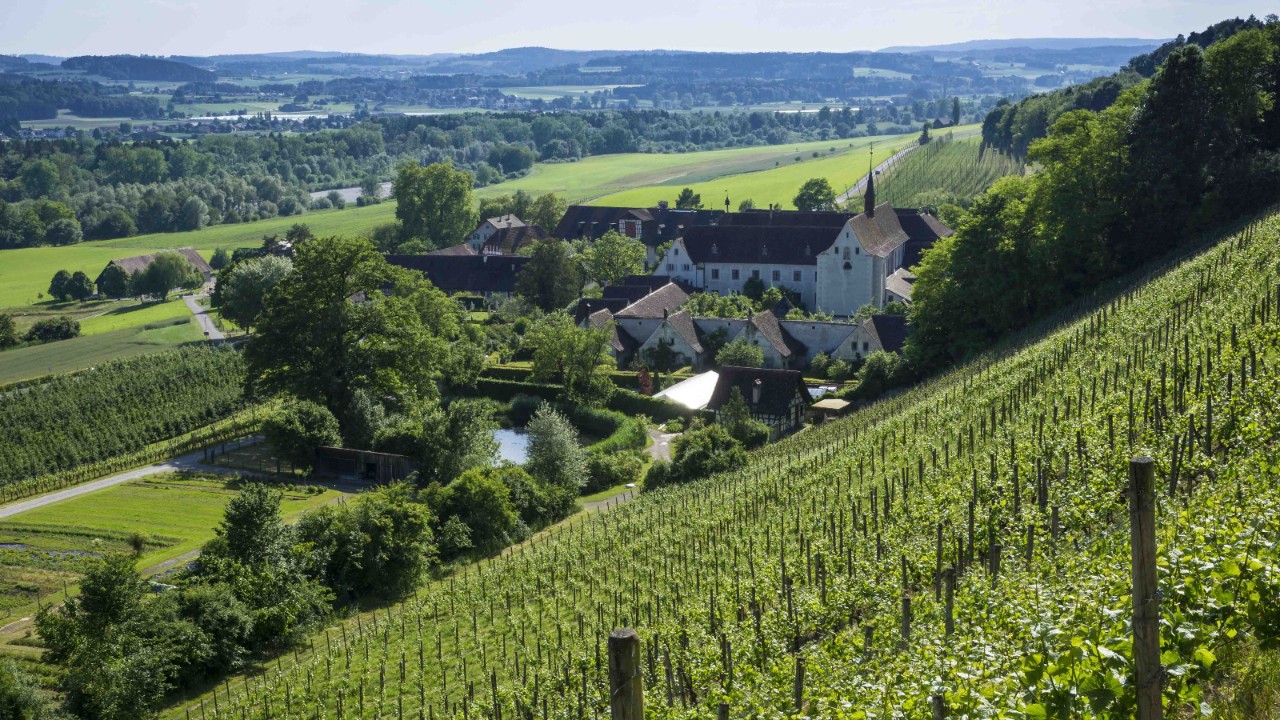 Bild der Kartause Ittingen.