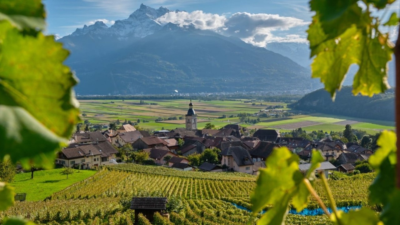 Vue sur un village et des vignes dans le Chablais.