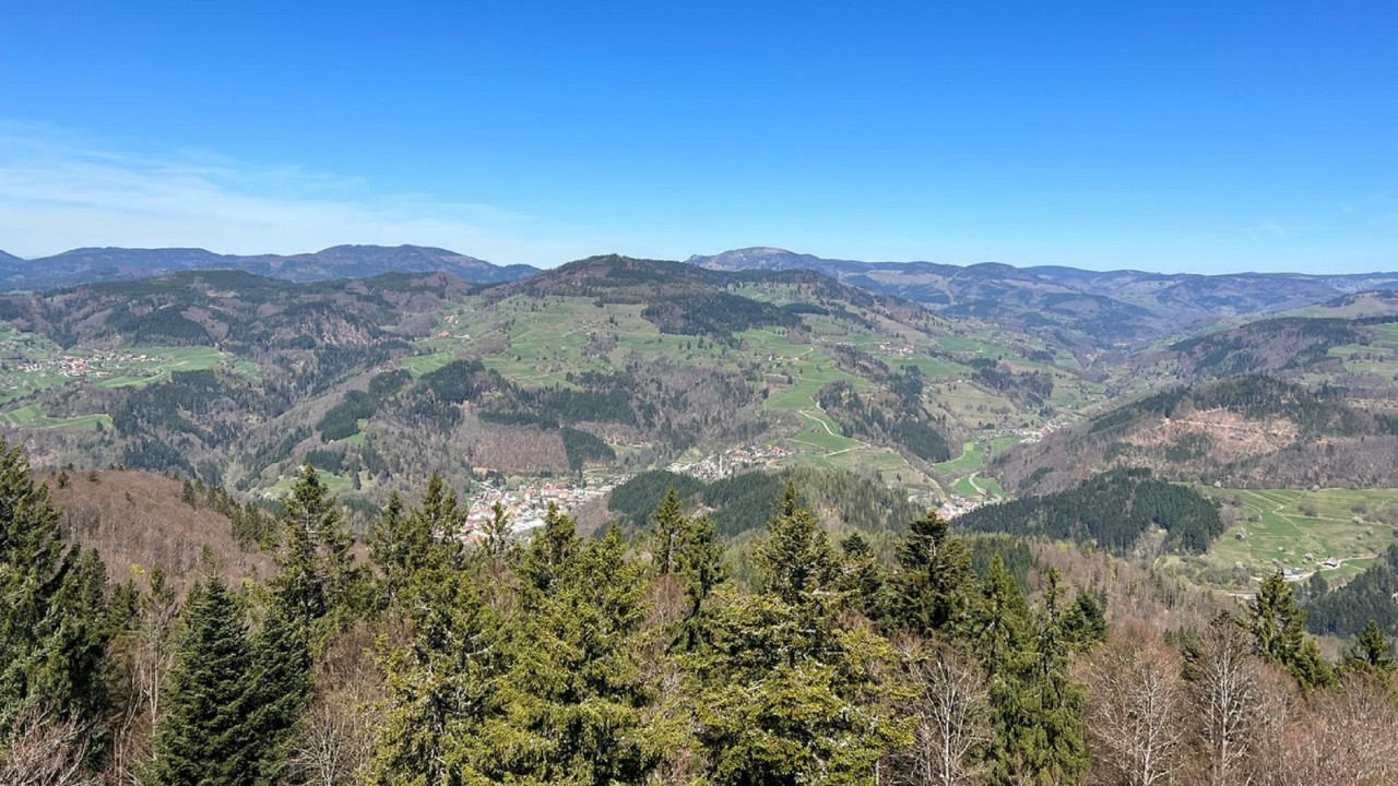 Ausblick auf den Südschwarzwald bis zu den Alpen.